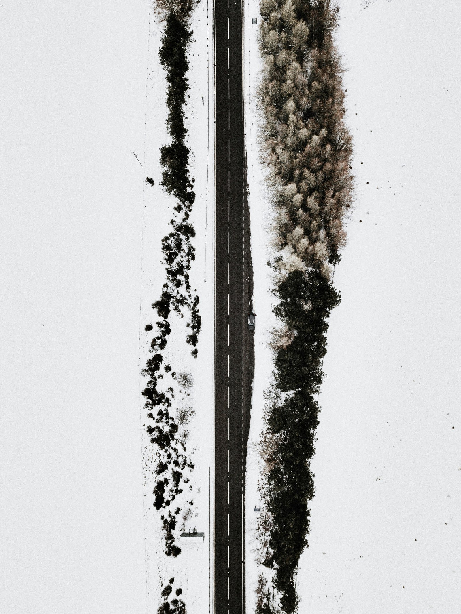 NitrogenFixation